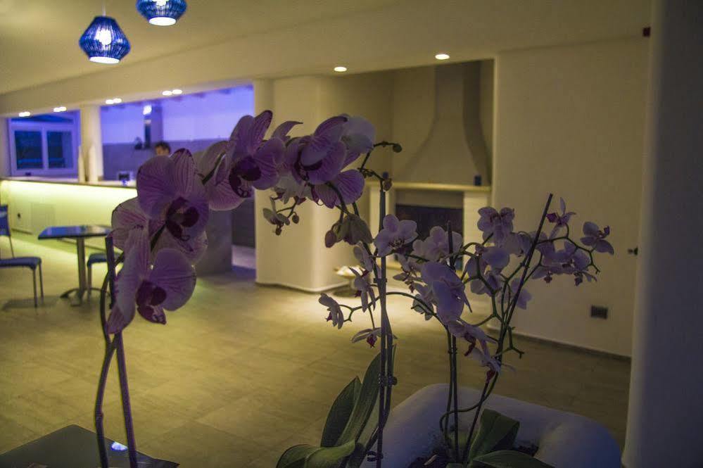 La Bella Trani - Suites And B&B المظهر الخارجي الصورة